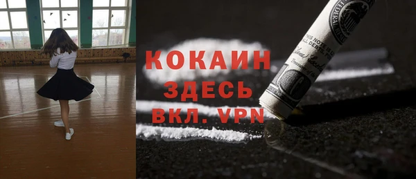 стаф Покачи