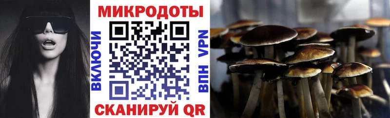 OMG ТОР  Томмот  Галлюциногенные грибы мицелий 